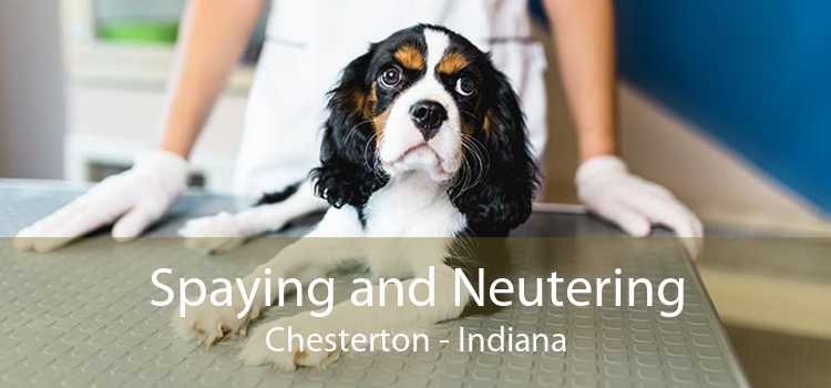 Spaying and Neutering Chesterton - Indiana