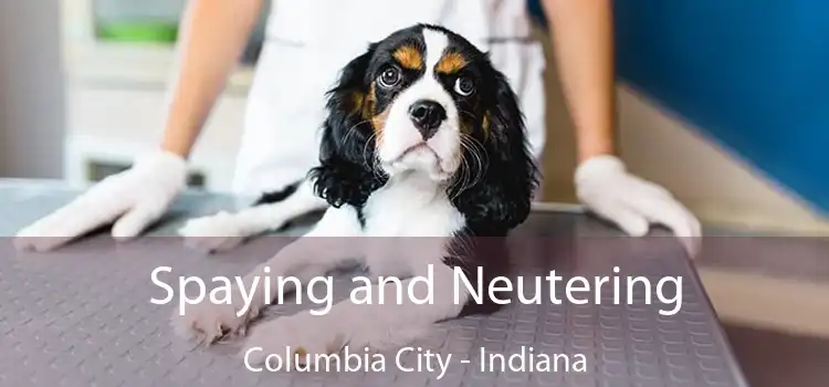 Spaying and Neutering Columbia City - Indiana