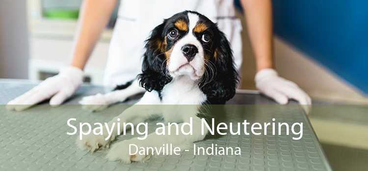 Spaying and Neutering Danville - Indiana
