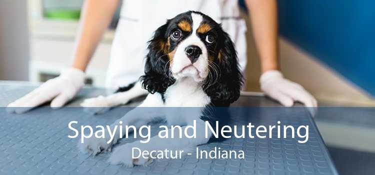 Spaying and Neutering Decatur - Indiana