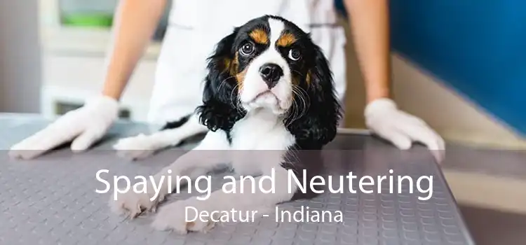 Spaying and Neutering Decatur - Indiana