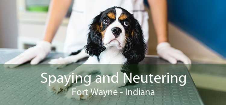 Spaying and Neutering Fort Wayne - Indiana