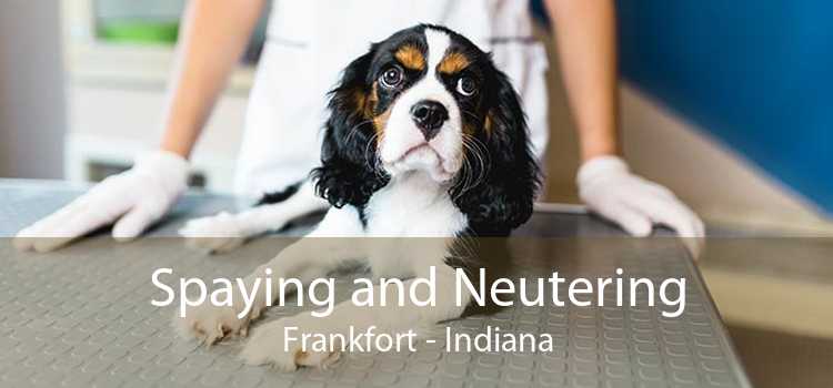 Spaying and Neutering Frankfort - Indiana