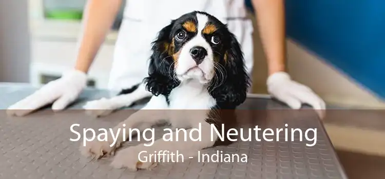 Spaying and Neutering Griffith - Indiana