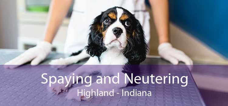 Spaying and Neutering Highland - Indiana
