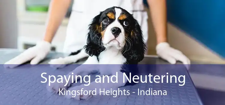 Spaying and Neutering Kingsford Heights - Indiana