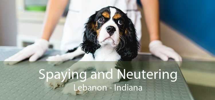 Spaying and Neutering Lebanon - Indiana