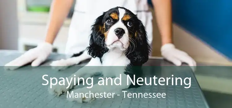 Spaying and Neutering Manchester - Tennessee