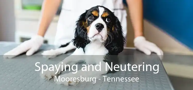 Spaying and Neutering Mooresburg - Tennessee