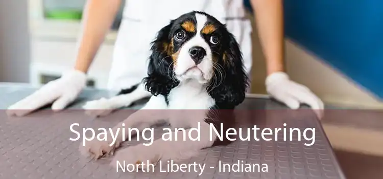 Spaying and Neutering North Liberty - Indiana