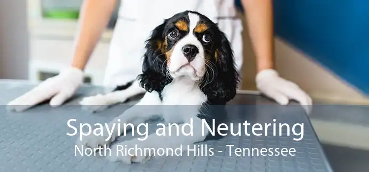 Spaying and Neutering North Richmond Hills - Tennessee