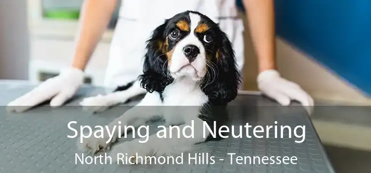 Spaying and Neutering North Richmond Hills - Tennessee