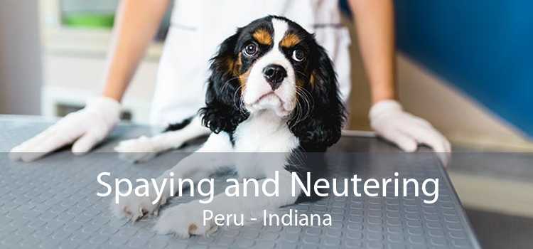 Spaying and Neutering Peru - Indiana