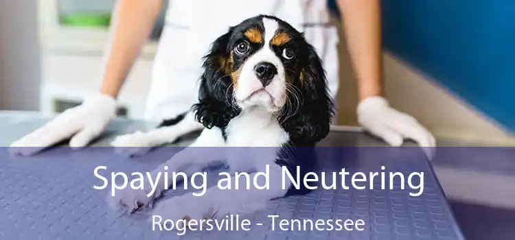 Spaying and Neutering Rogersville - Tennessee