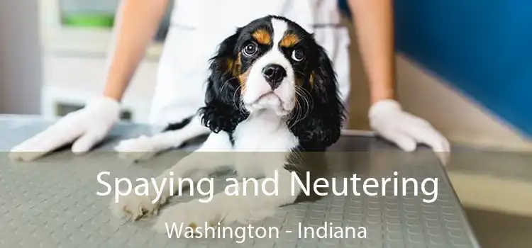 Spaying and Neutering Washington - Indiana