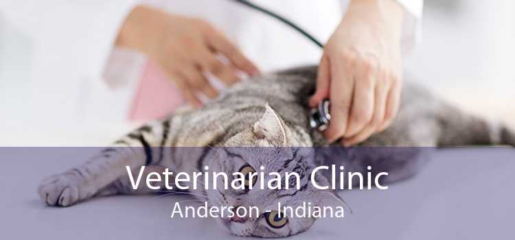 Veterinarian Clinic Anderson - Indiana