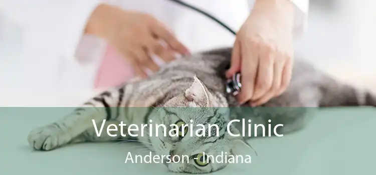 Veterinarian Clinic Anderson - Indiana