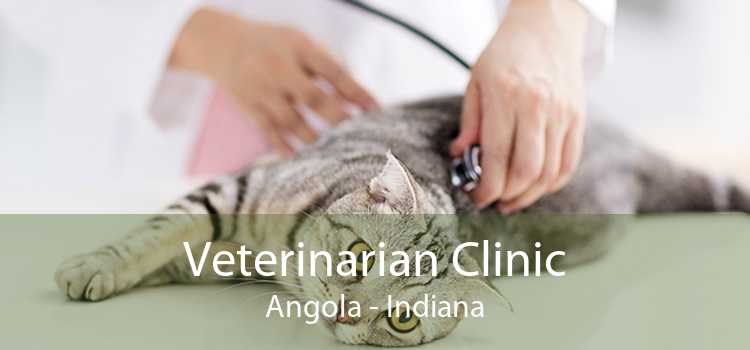 Veterinarian Clinic Angola - Indiana