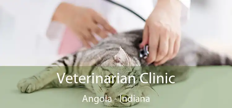 Veterinarian Clinic Angola - Indiana