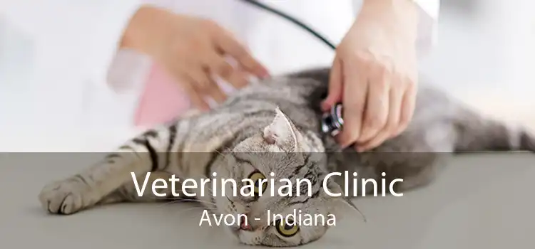 Veterinarian Clinic Avon - Indiana