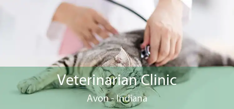 Veterinarian Clinic Avon - Indiana