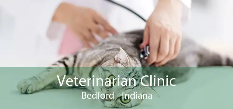 Veterinarian Clinic Bedford - Indiana