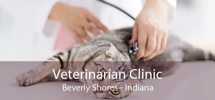Veterinarian Clinic Beverly Shores - Indiana