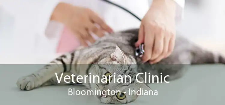 Veterinarian Clinic Bloomington - Indiana