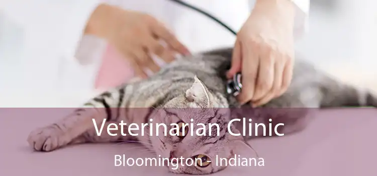 Veterinarian Clinic Bloomington - Indiana