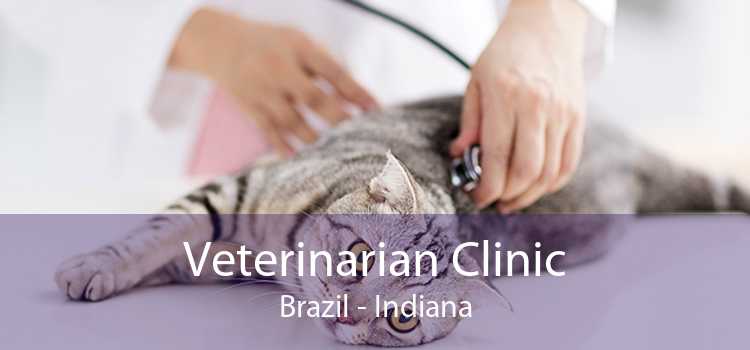 Veterinarian Clinic Brazil - Indiana