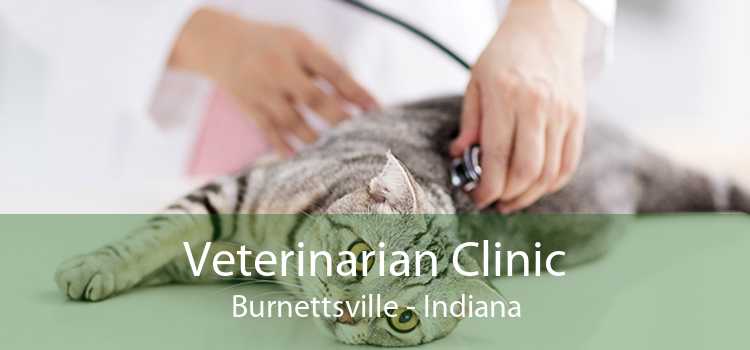 Veterinarian Clinic Burnettsville - Indiana