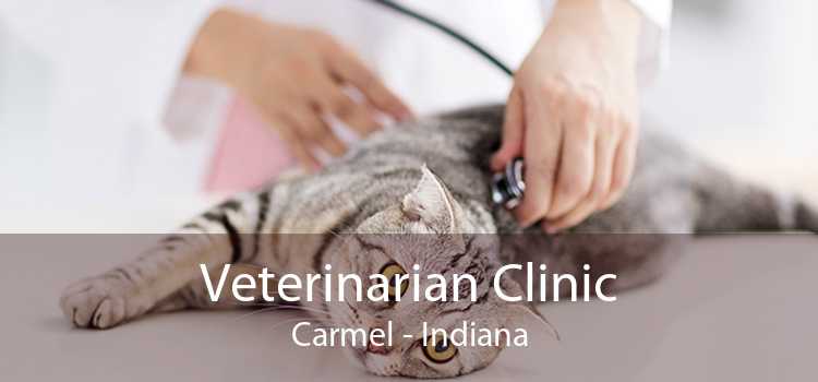 Veterinarian Clinic Carmel - Indiana