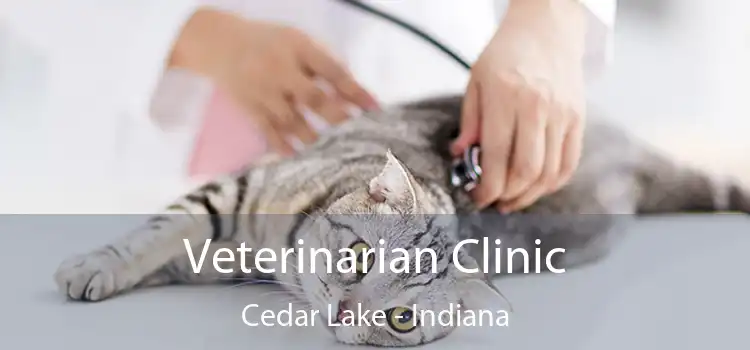 Veterinarian Clinic Cedar Lake - Indiana