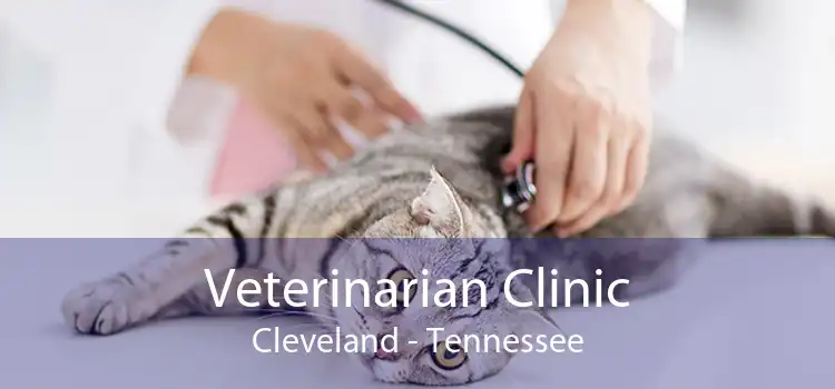 Veterinarian Clinic Cleveland - Tennessee