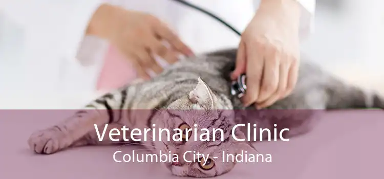 Veterinarian Clinic Columbia City - Indiana