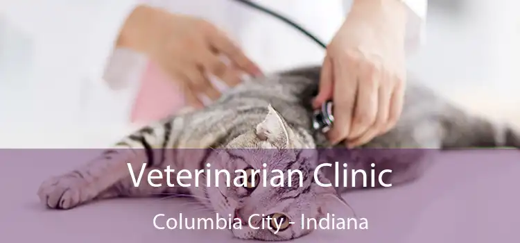 Veterinarian Clinic Columbia City - Indiana