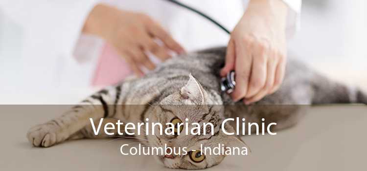 Veterinarian Clinic Columbus - Indiana