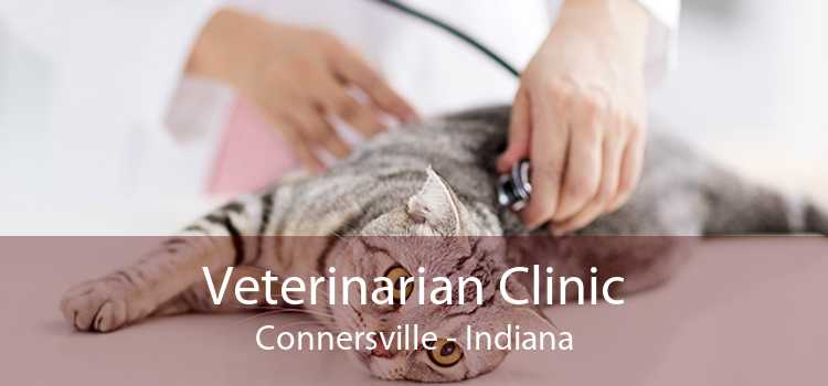 Veterinarian Clinic Connersville - Indiana
