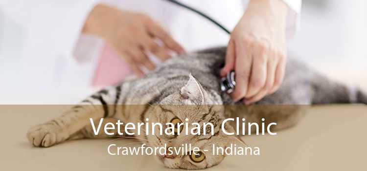 Veterinarian Clinic Crawfordsville - Indiana