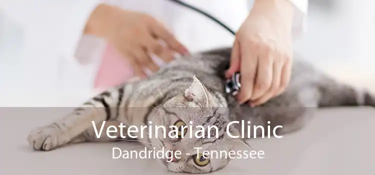 Veterinarian Clinic Dandridge - Tennessee