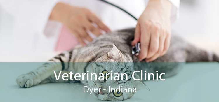 Veterinarian Clinic Dyer - Indiana