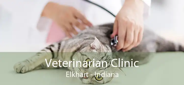 Veterinarian Clinic Elkhart - Indiana