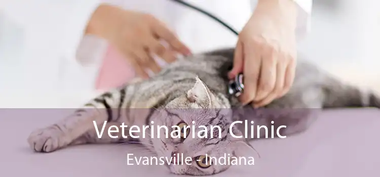 Veterinarian Clinic Evansville - Indiana