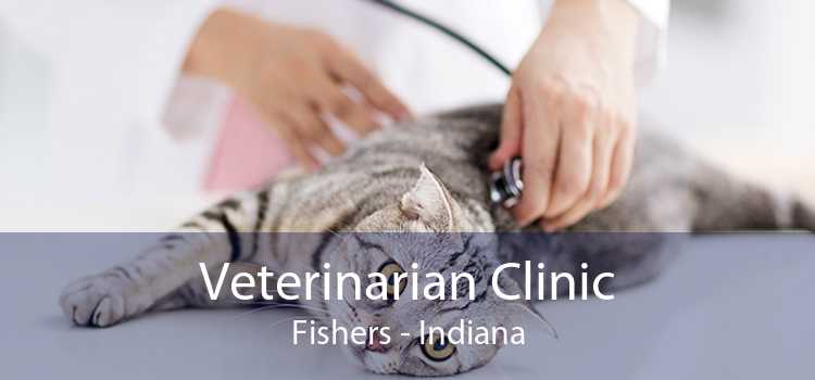 Veterinarian Clinic Fishers - Indiana