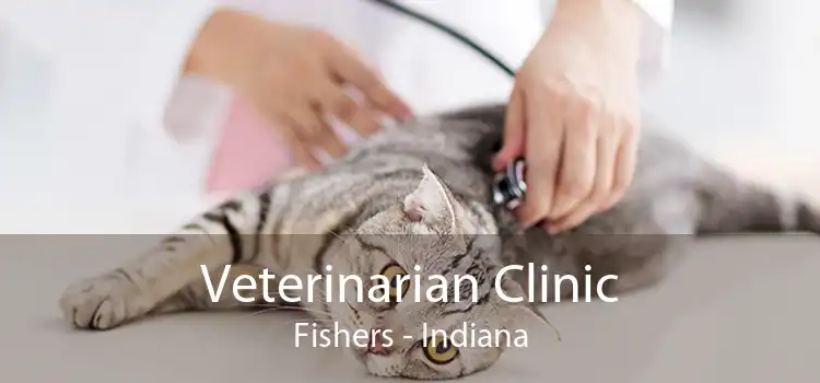 Veterinarian Clinic Fishers - Indiana