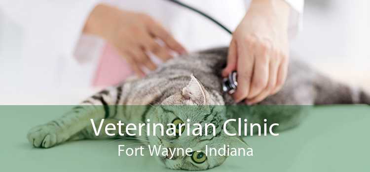 Veterinarian Clinic Fort Wayne - Indiana