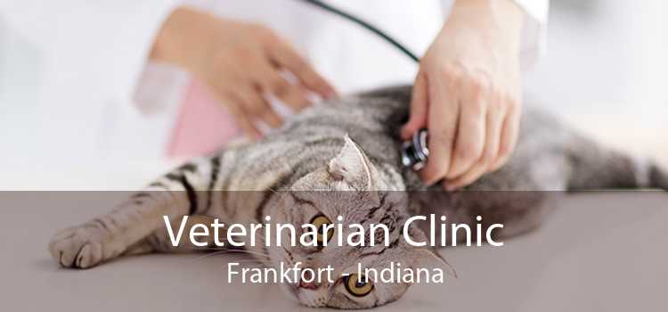Veterinarian Clinic Frankfort - Indiana