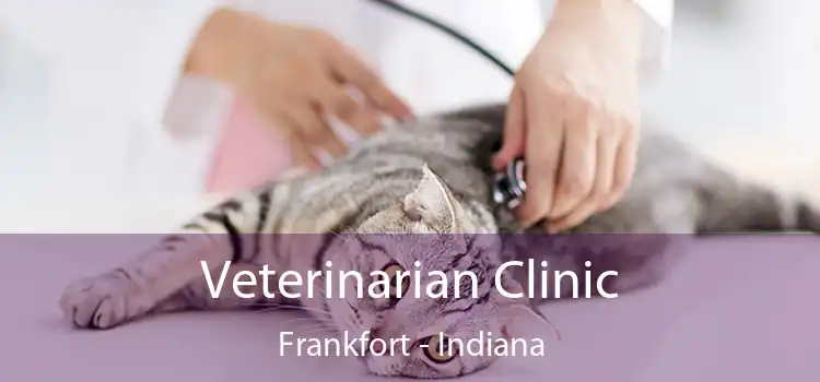 Veterinarian Clinic Frankfort - Indiana