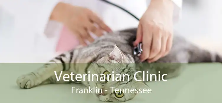 Veterinarian Clinic Franklin - Tennessee
