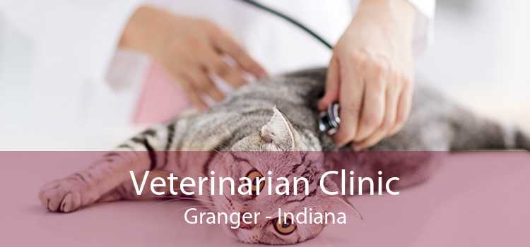 Veterinarian Clinic Granger - Indiana